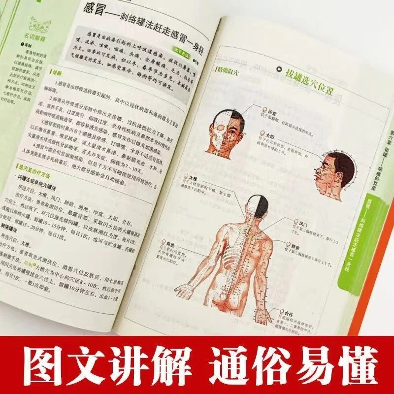 ホリスティックヘルス＆ウェルネスシリーズ：易経、風水、黄帝内 - Therapy Health And Wellness のレビューと価格